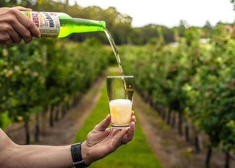 Pouring Cider in Orchard