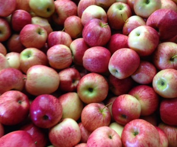spreyton-fresh-apples-1.jpg